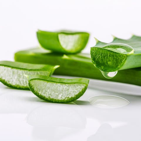 Aloe vera Aloe vera