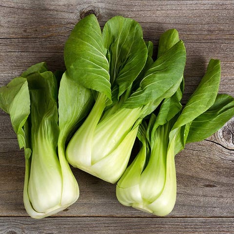 bok choy bok choy
