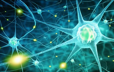 Neurons in brain Neurons in brain