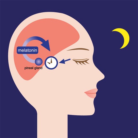 Melatonin Melatonin