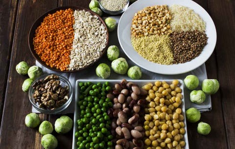 It's all about protein, protein, protein. It's all about protein, protein, protein.