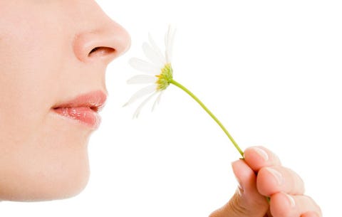 Smelling a flower Smelling a flower