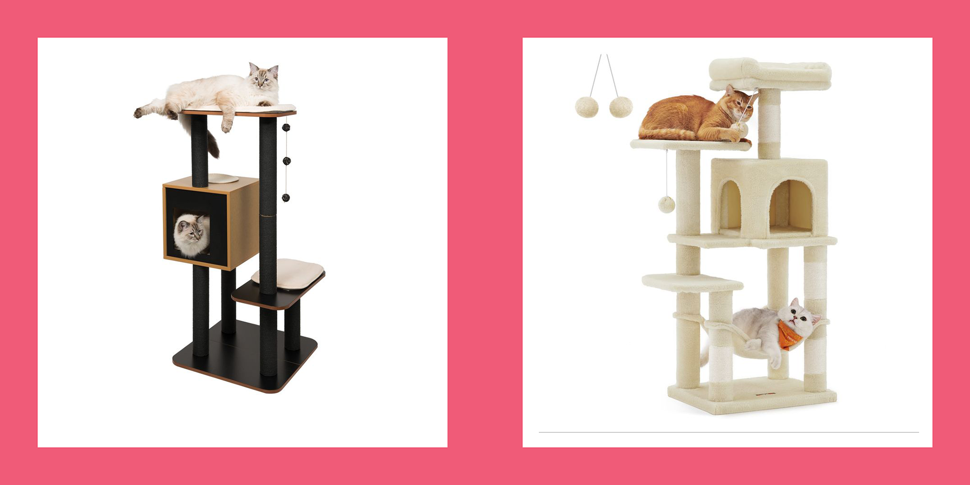 The 10 Best Cat Trees to Keep Your Indoor Kitty Healthy and Happy