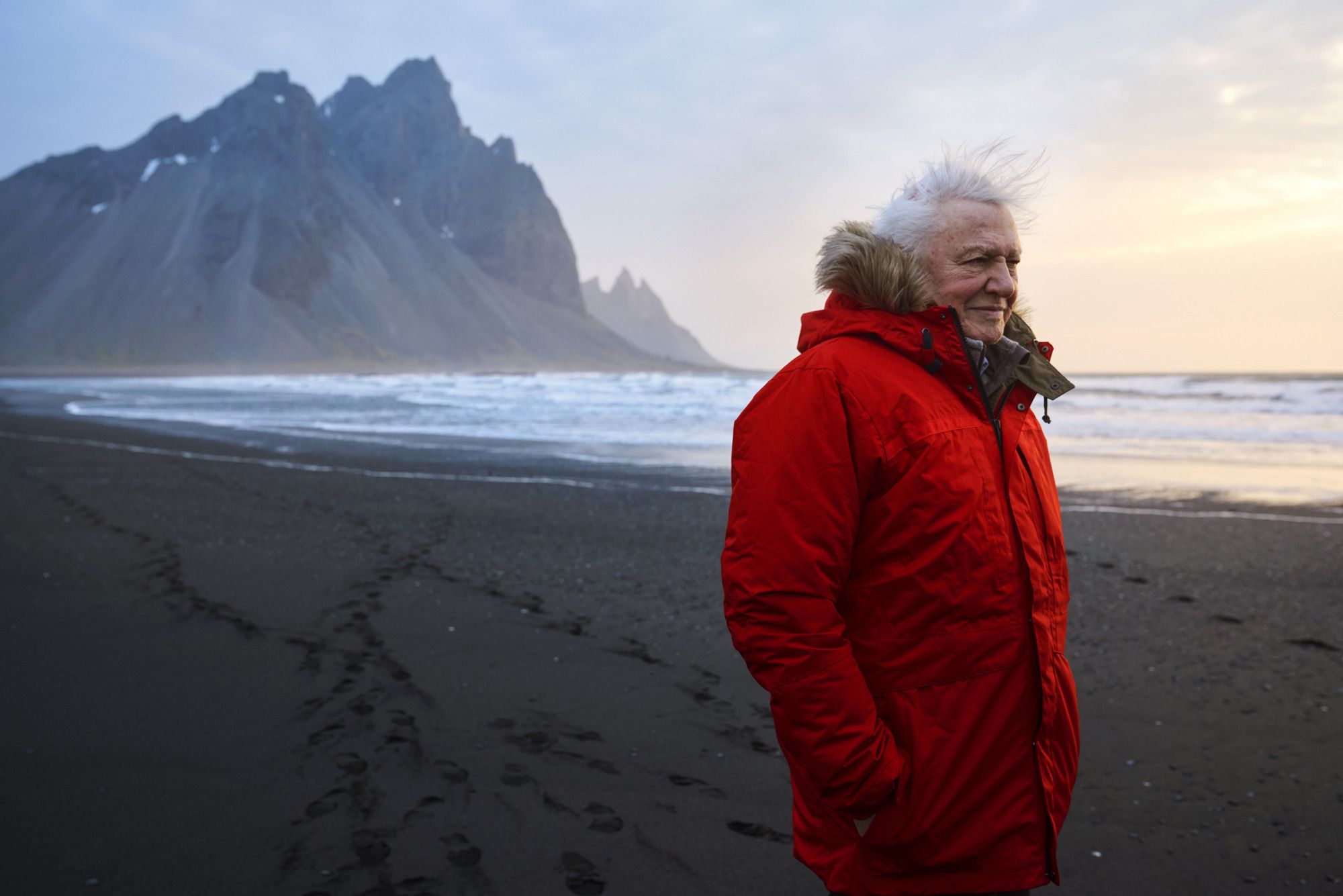 Flipboard: David Attenborough's Seven Worlds, One Planet creator reveals heartbreaking ...2000 x 1335