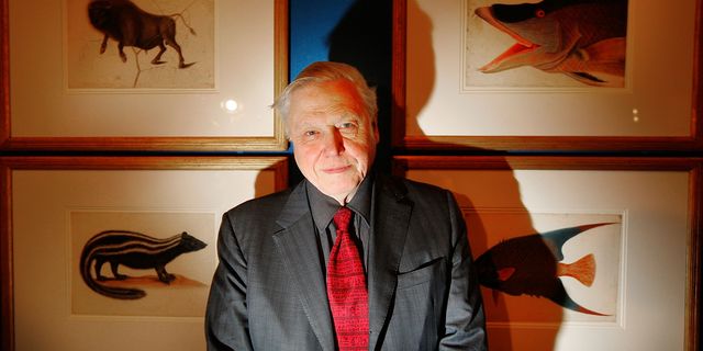 sir david attenborough at preview of amazing rare things exhibition