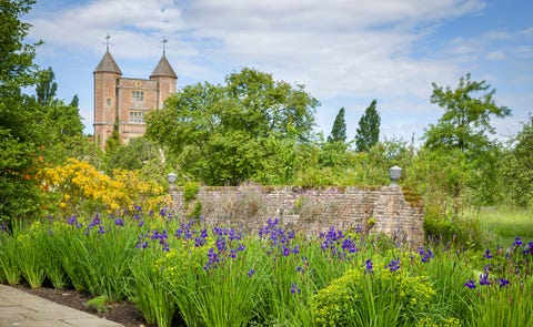 Irises at Sissinghurst Castle Garden, Kent Irises at Sissinghurst Castle Garden, Kent