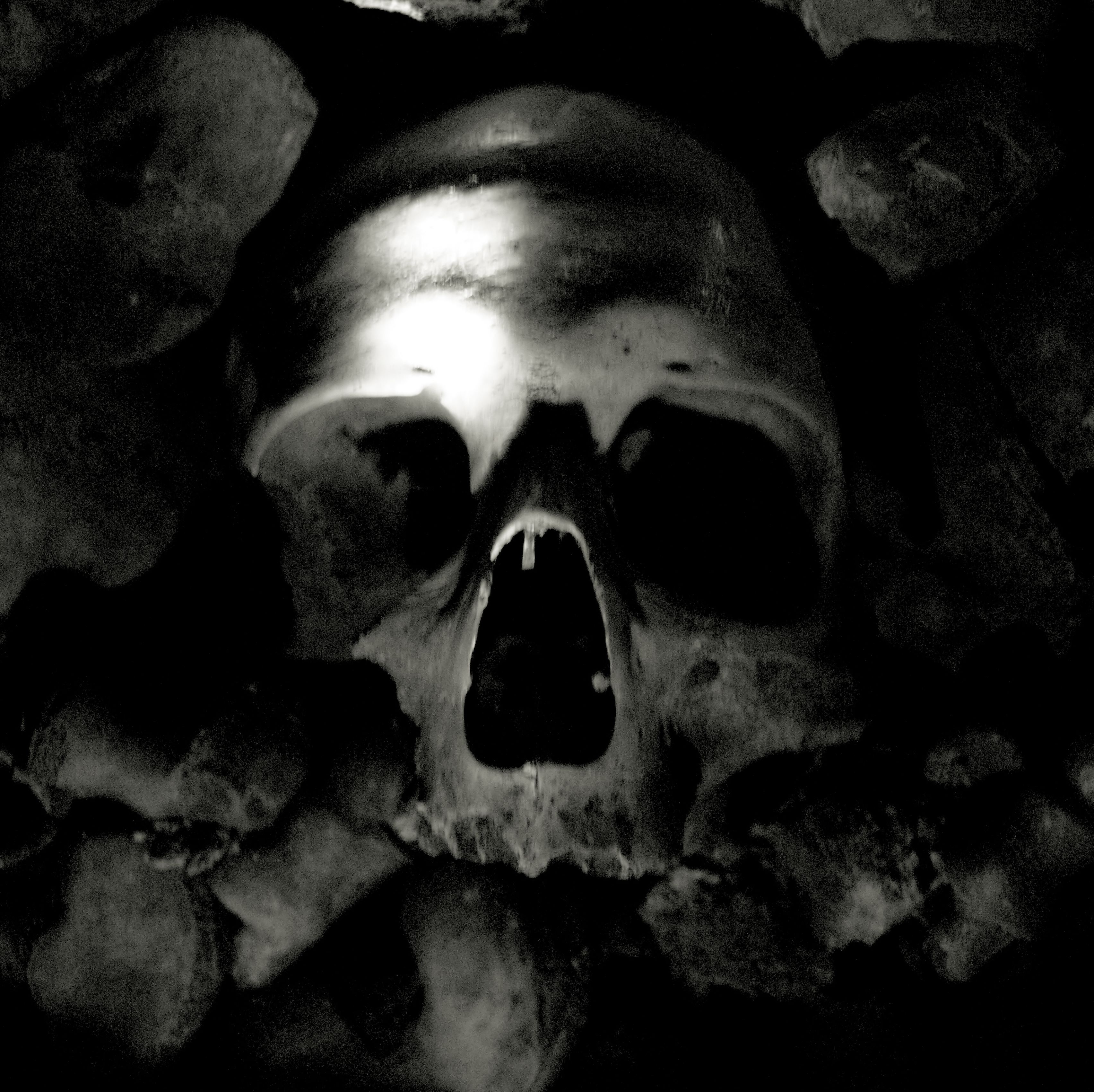 Archaeologists Identified a Mysterious 15th-Century Skull. It May Belong to a Legendary King.