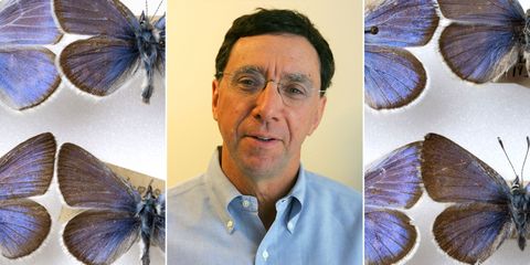 john markoff’s feature on the effort to return a rare butterfly from extinction was awarded top honors for science reporting