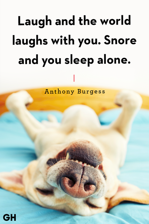 20 Sleep Quotes - Cute Good Night Quotes