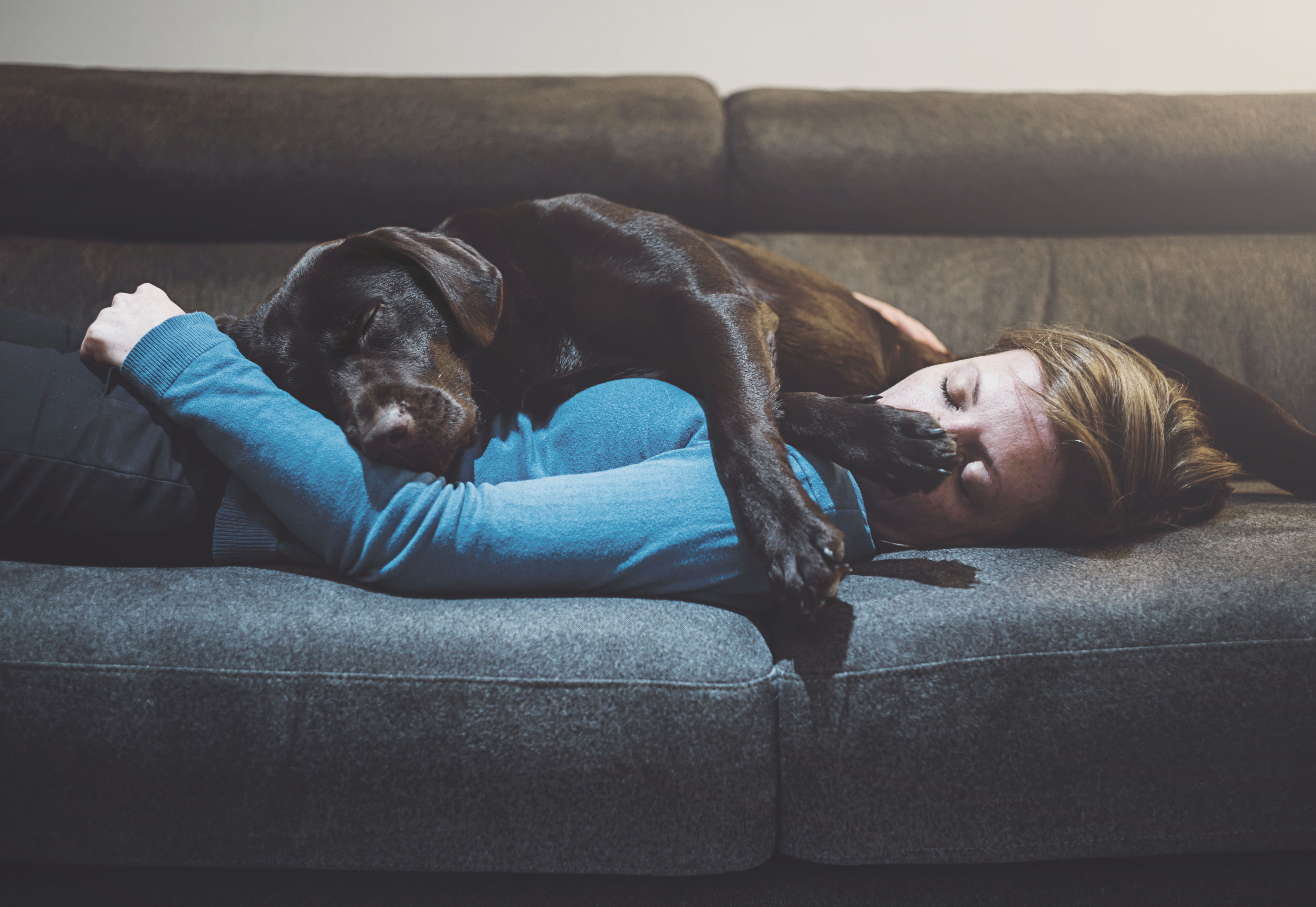 dog sleep with owner