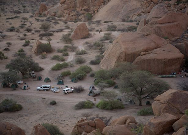 singletrack safari