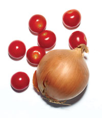 tomato-onion.png
