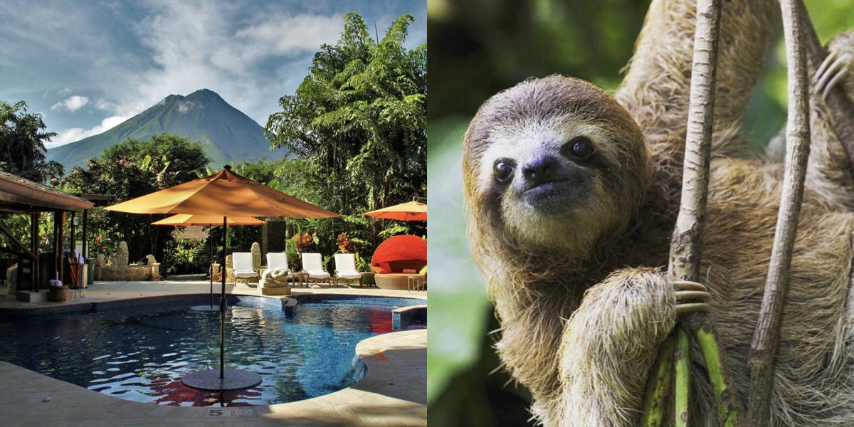 This Resort in Costa Rica Has a Sloth Preserve — Hang With Sloths at ...