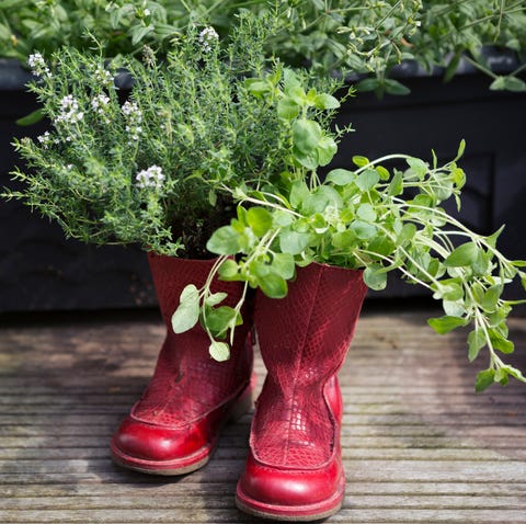 slow gardening repurposed old red boots