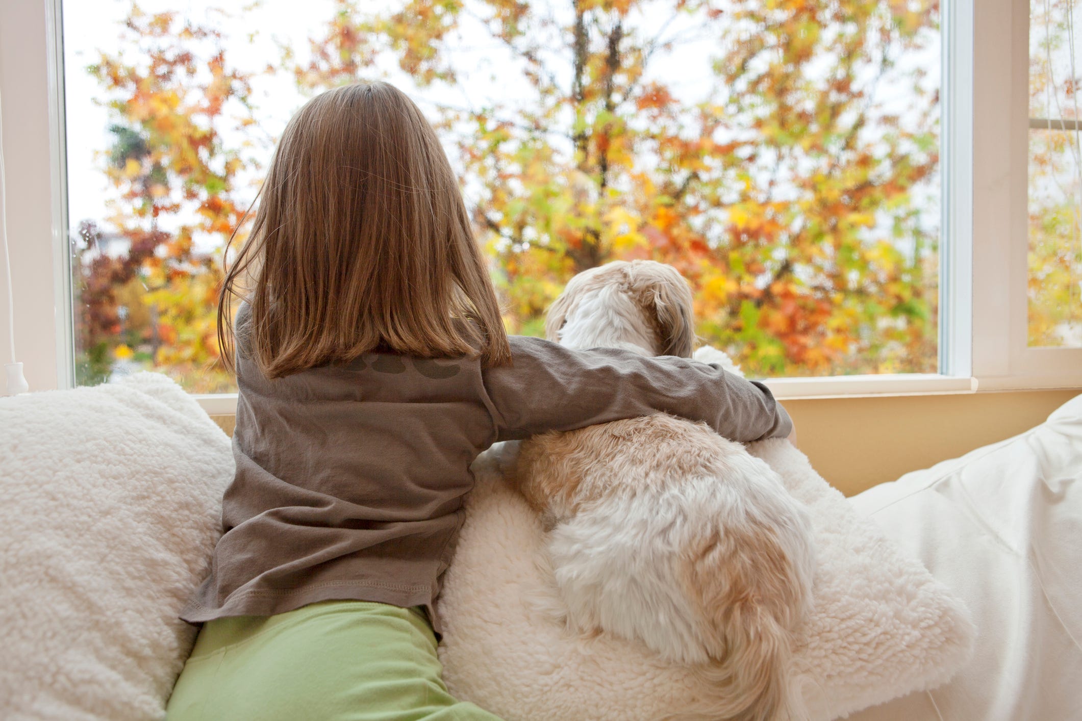 are shih tzus good with kids