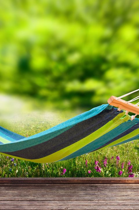 small garden ideas   hammock