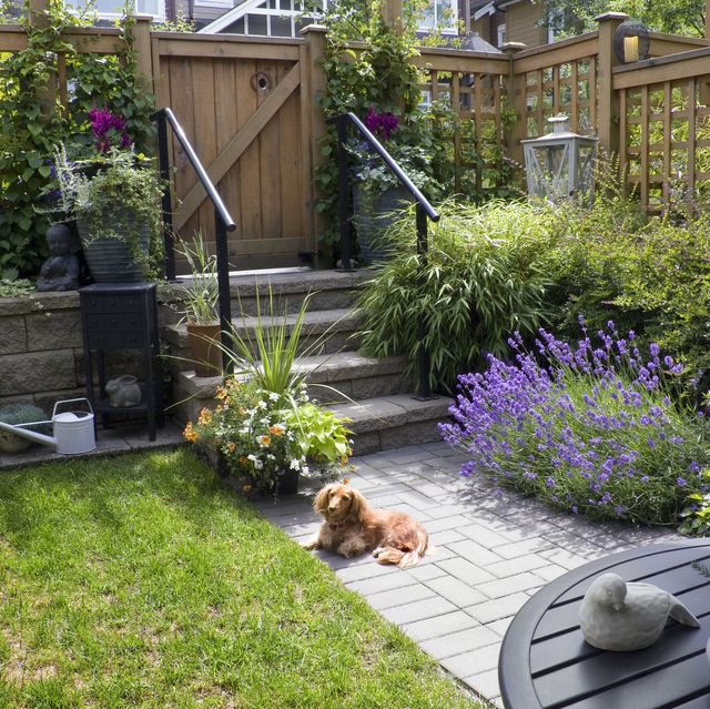 7 Garden Features That Could Devalue Your Home