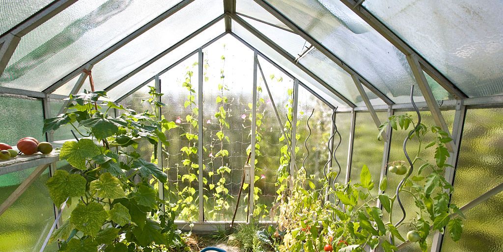 How To Build A Greenhouse Diy Greenhouse