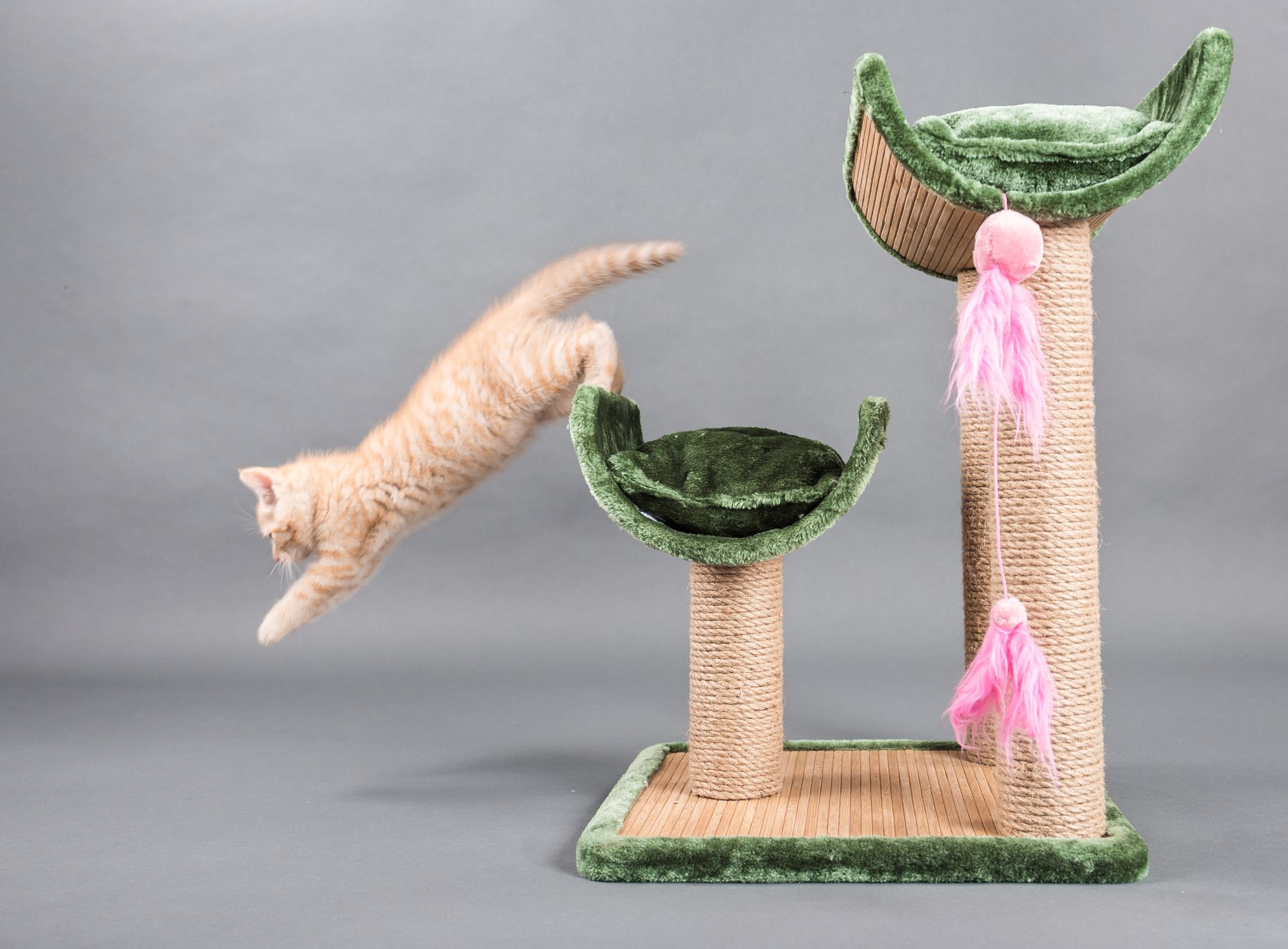 Benefits Of Cat Tree For Your Cat