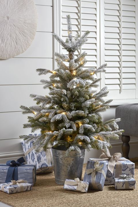 indoor outdoor frosted pine potted tree, £25, cox  cox