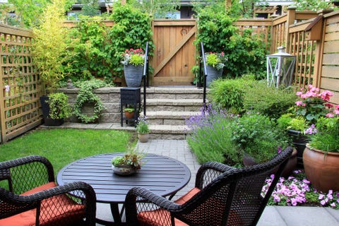 Petit jardin de maison de ville avec des meubles de patio au milieu de la lavande fleurie