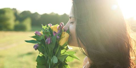 Flower, Plant, Morning, Spring, Iris, Sunlight, Wildflower, Olfaction, Petal, Photography, 