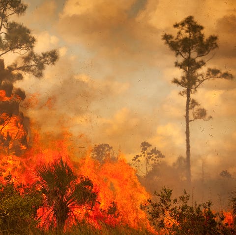 The 1991 Firestorm That Changed Everything We Thought We Knew About Arson The 1991 Firestorm That Changed Everything We Thought We Knew About Arson
