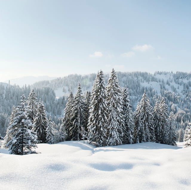 52 Best Winter Quotes Snow Quotes And Sayings You Ll Love 52 Best Winter Quotes Snow Quotes And Sayings You Ll Love