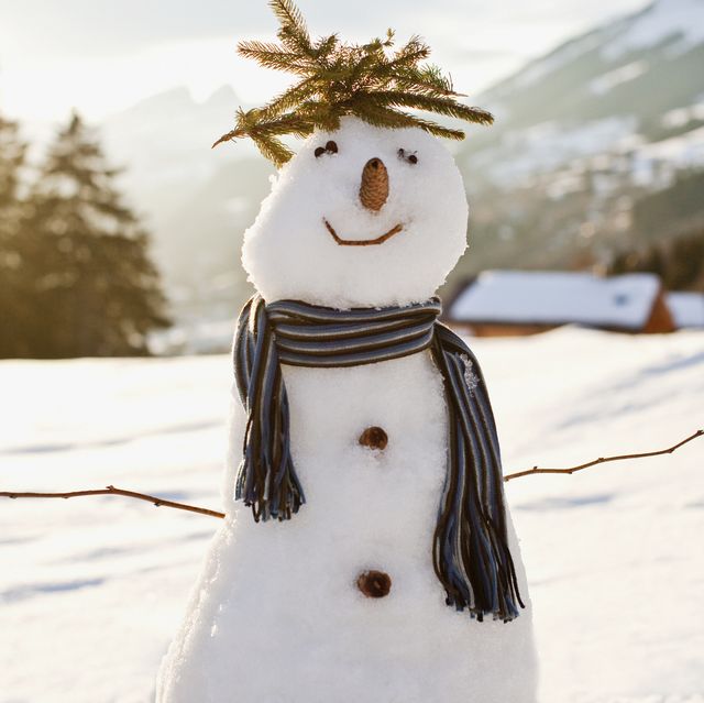 snowman in snowy field