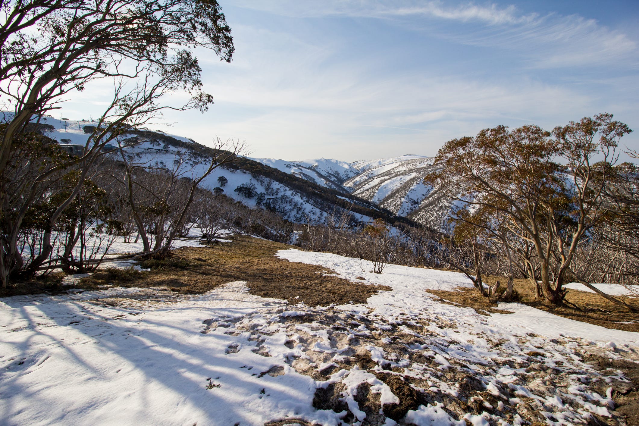 This Lost Trail Runner in Australia Is Lucky to Be Alive