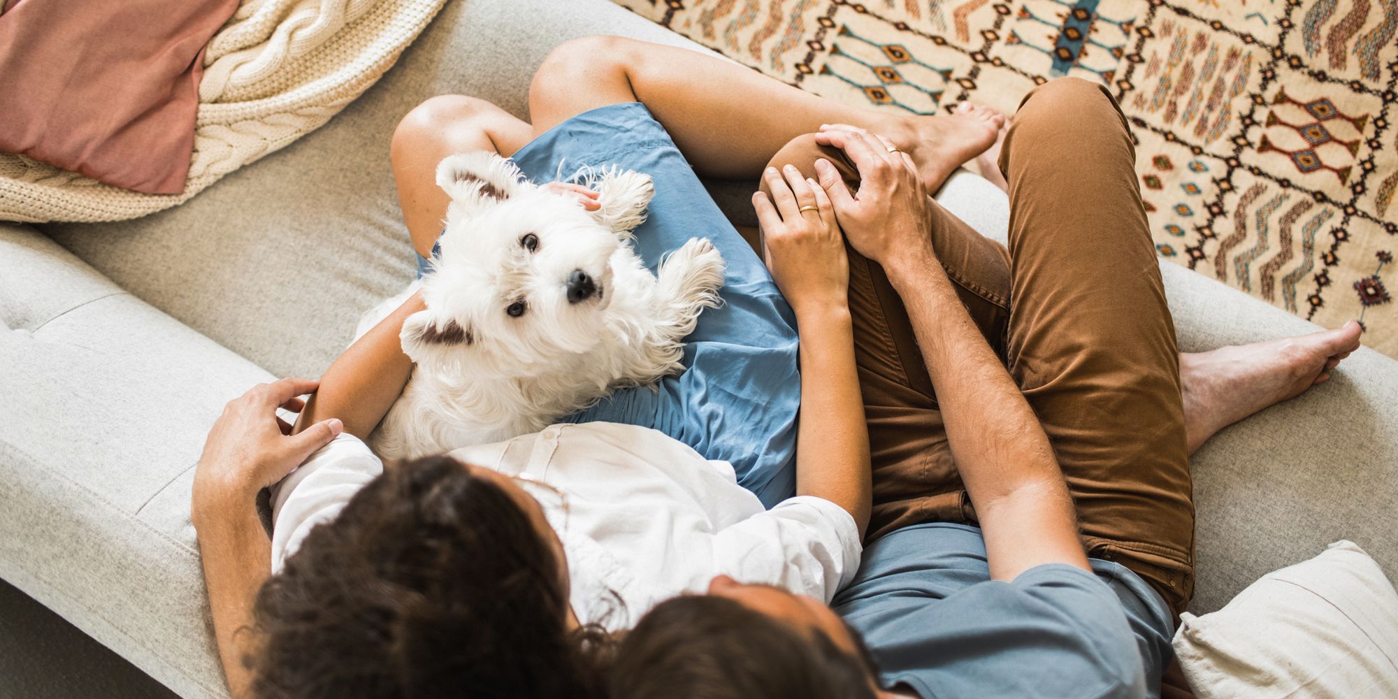 what is the best couch cover for dogs