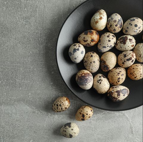 Quail eggs in plate on grey background, space for text and top view