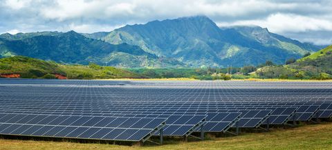 Solar energy panels on field, Poipu, Kauai County, Hawaii, USA