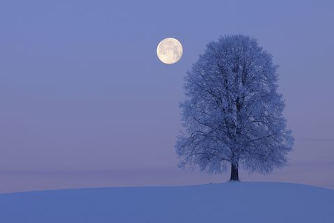 雪景色と満月