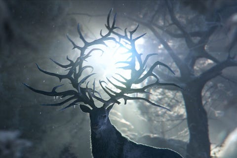 the deer of shadow and bone the deer of shadow and bone