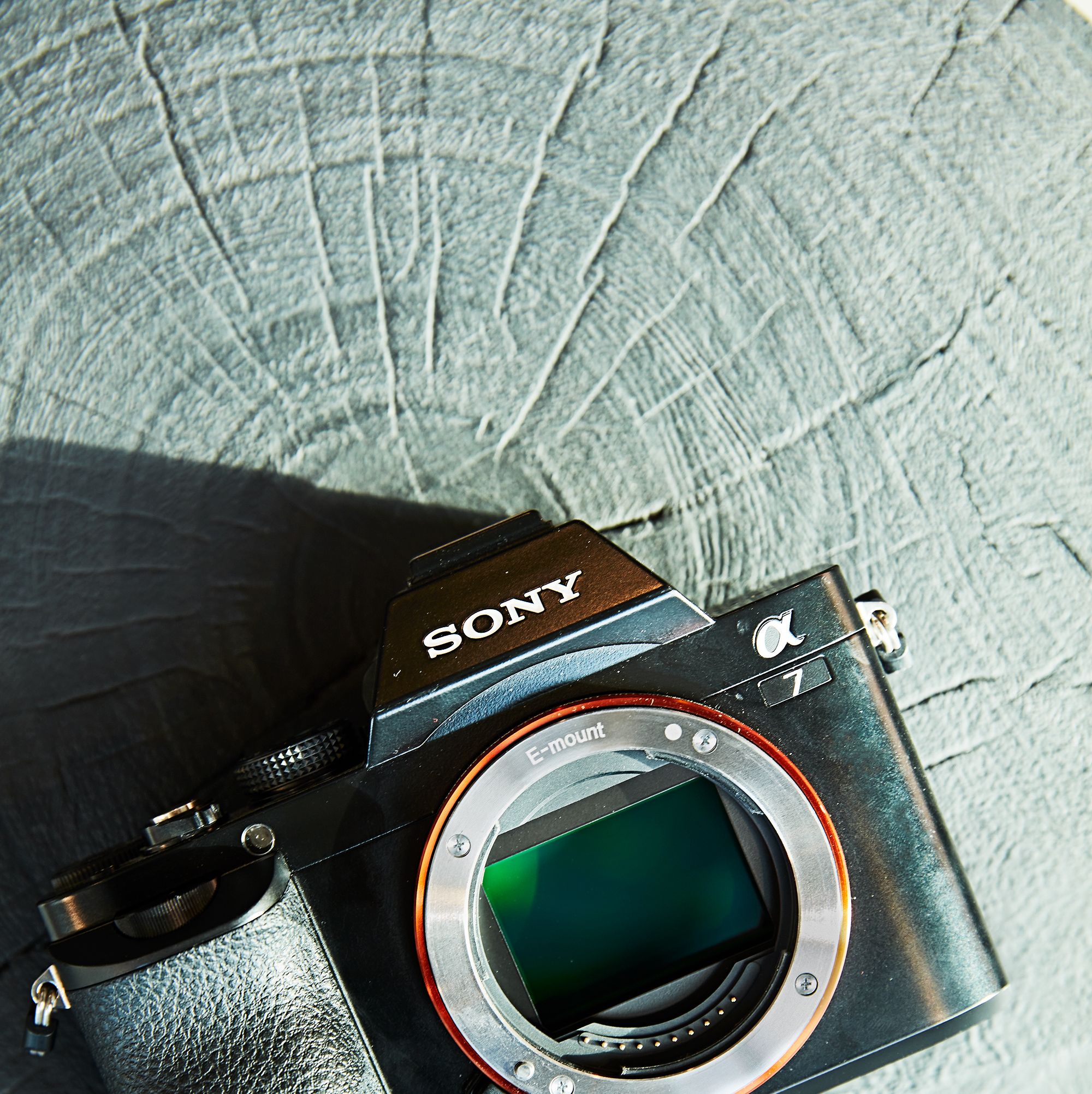 Mighty Small, Sony's Alpha 7 Camera Was the Best of Both Worlds