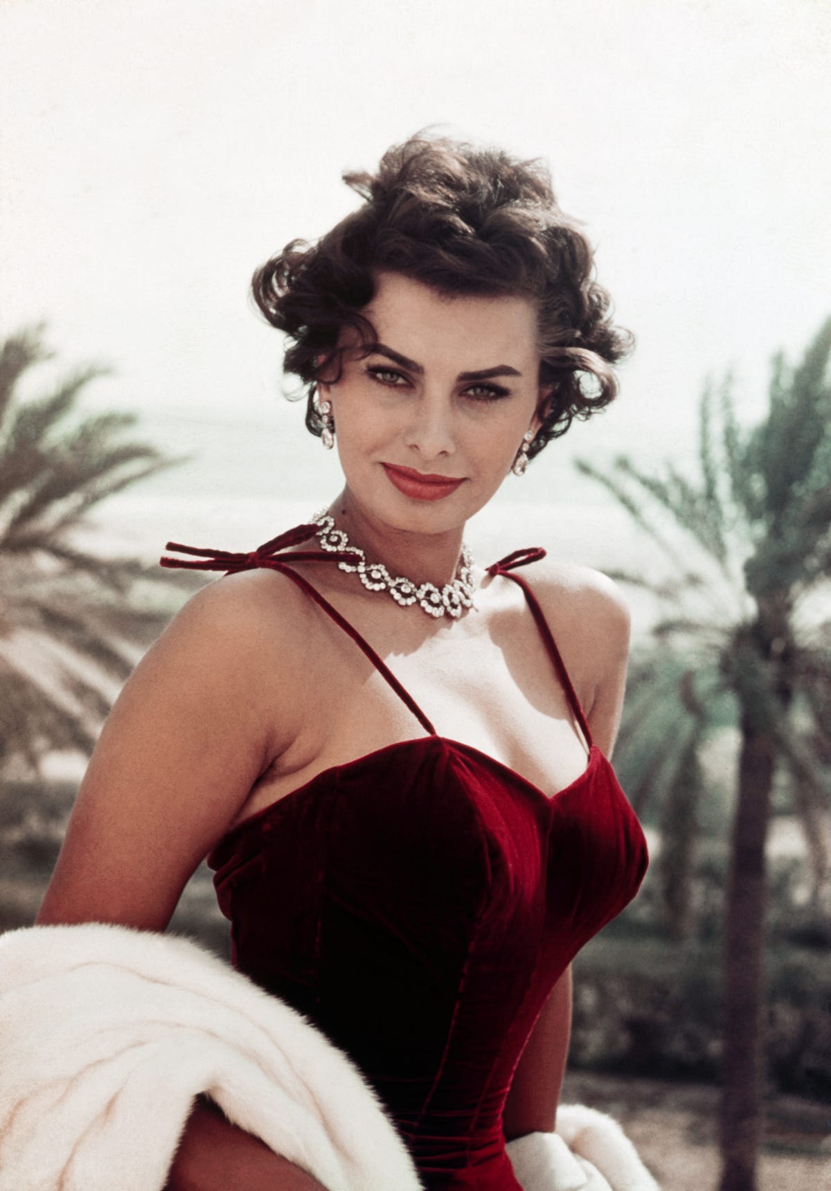 Ecco come appare ora l’attrice italiana Sophia Loren (87).