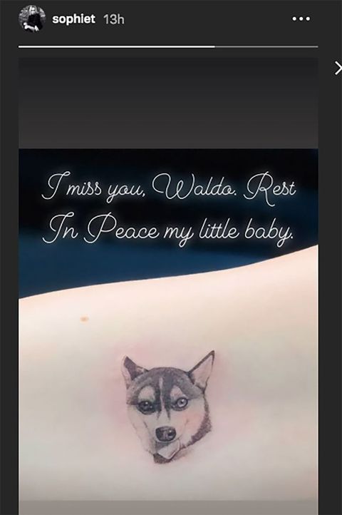 Sophie Turner dead dog waldo matching tattoo joe jonas