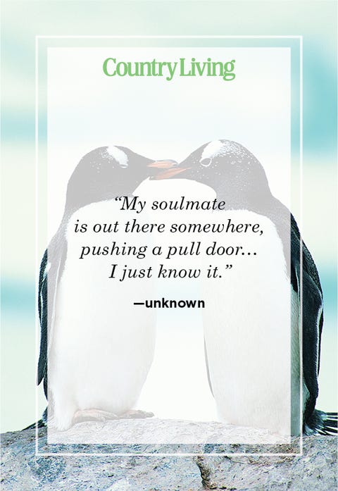 Quotes i soulmate met my 20 Best