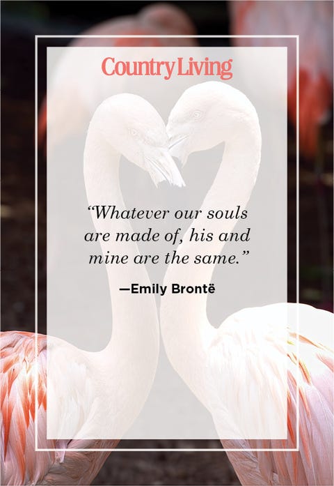 soulmate quote by Emily Bronte