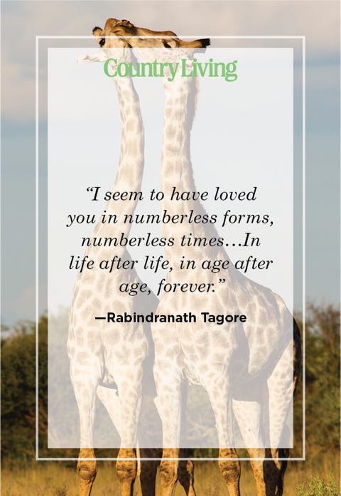 soulmate quote by Rabindranath Tagore