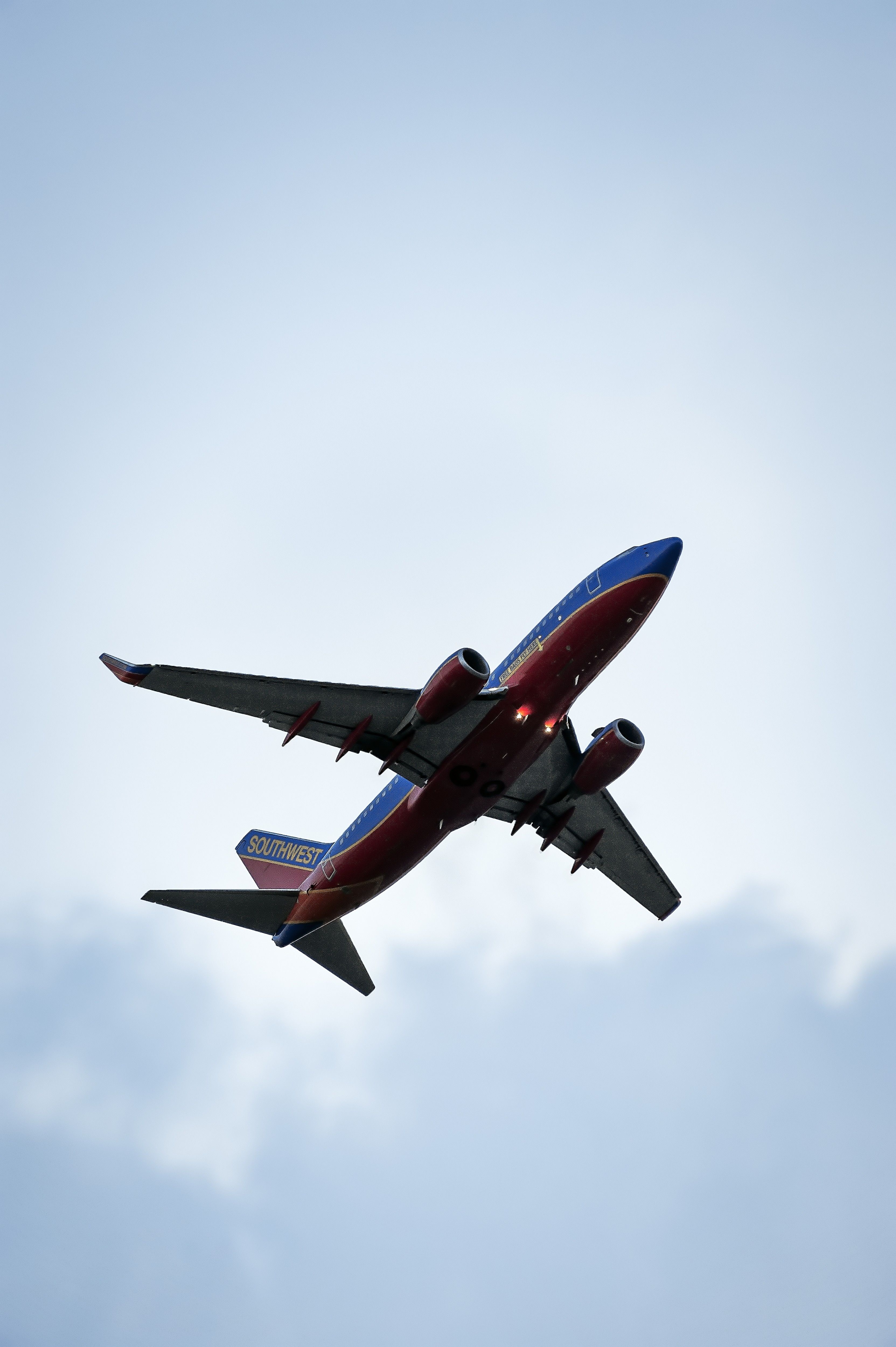 $49 airline tickets