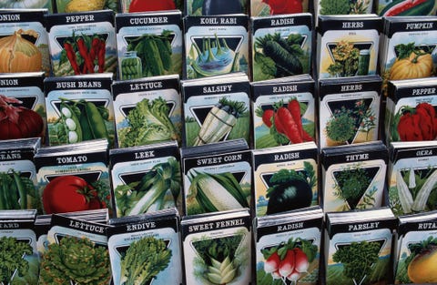 vegetable seed packets