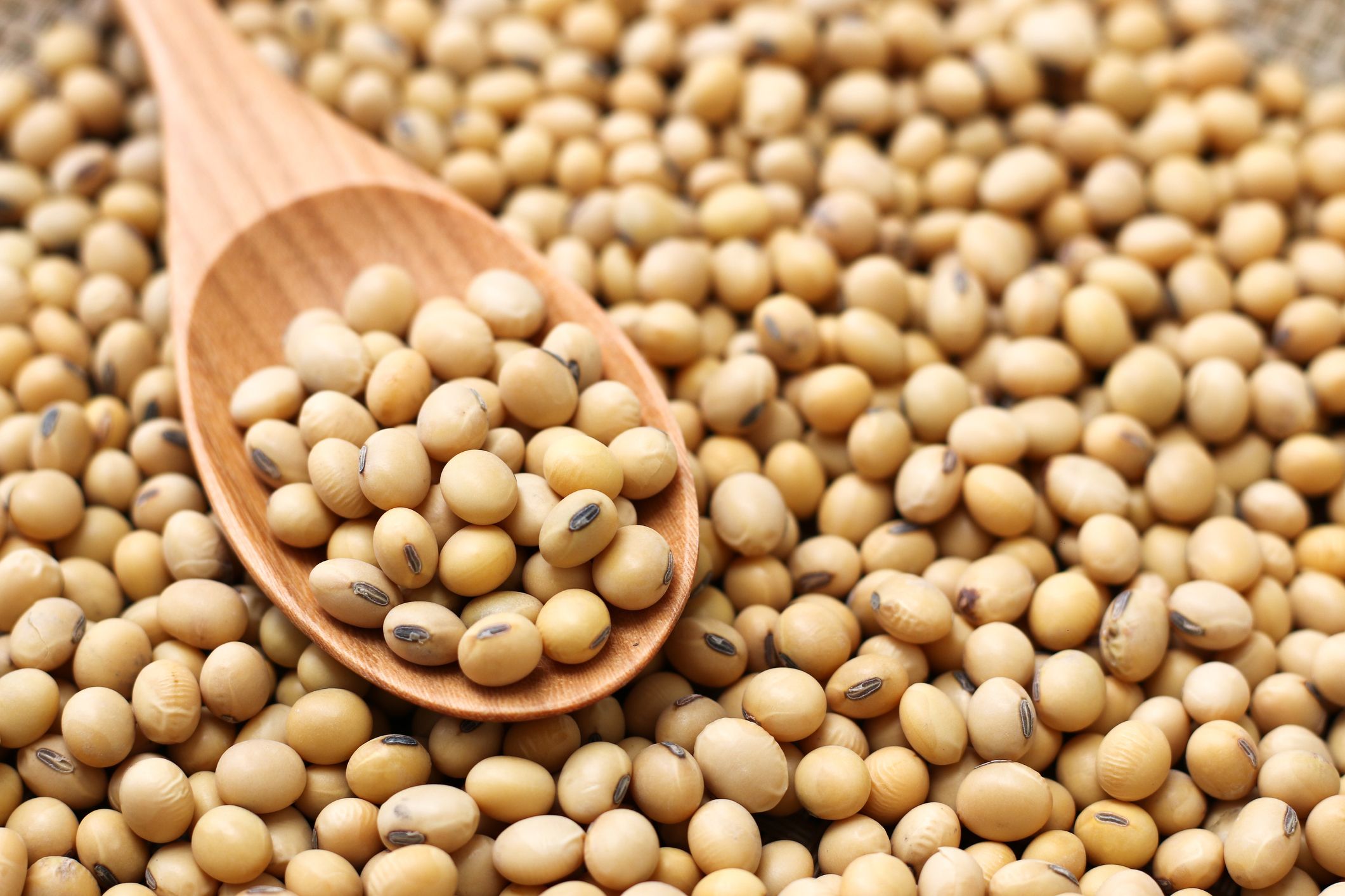 Proteína aislada de soja: qué es y por qué los nutricionistas no la  recomiendan