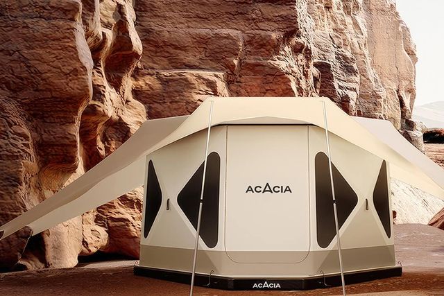 space acacia