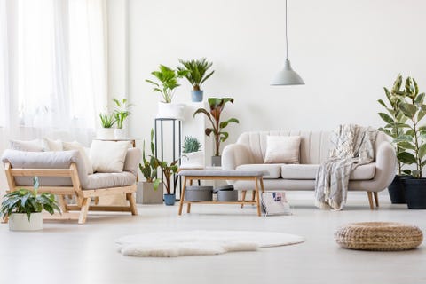 spacious-floral-living-room-royalty-free-image-915700250-1546892998.jpg?crop=1.00xw:0.751xh0,0.142xh&resize=480:*