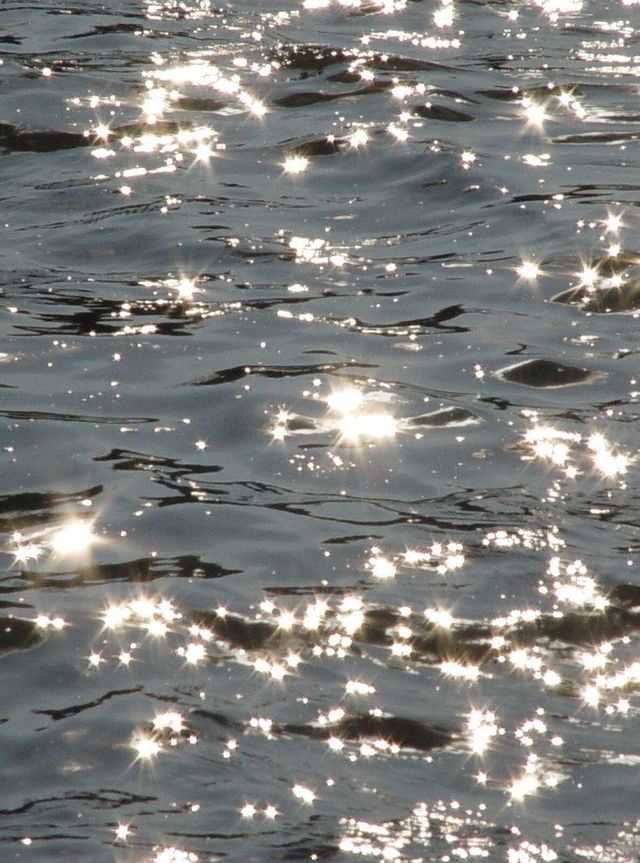 sun lights reflection on water during summer