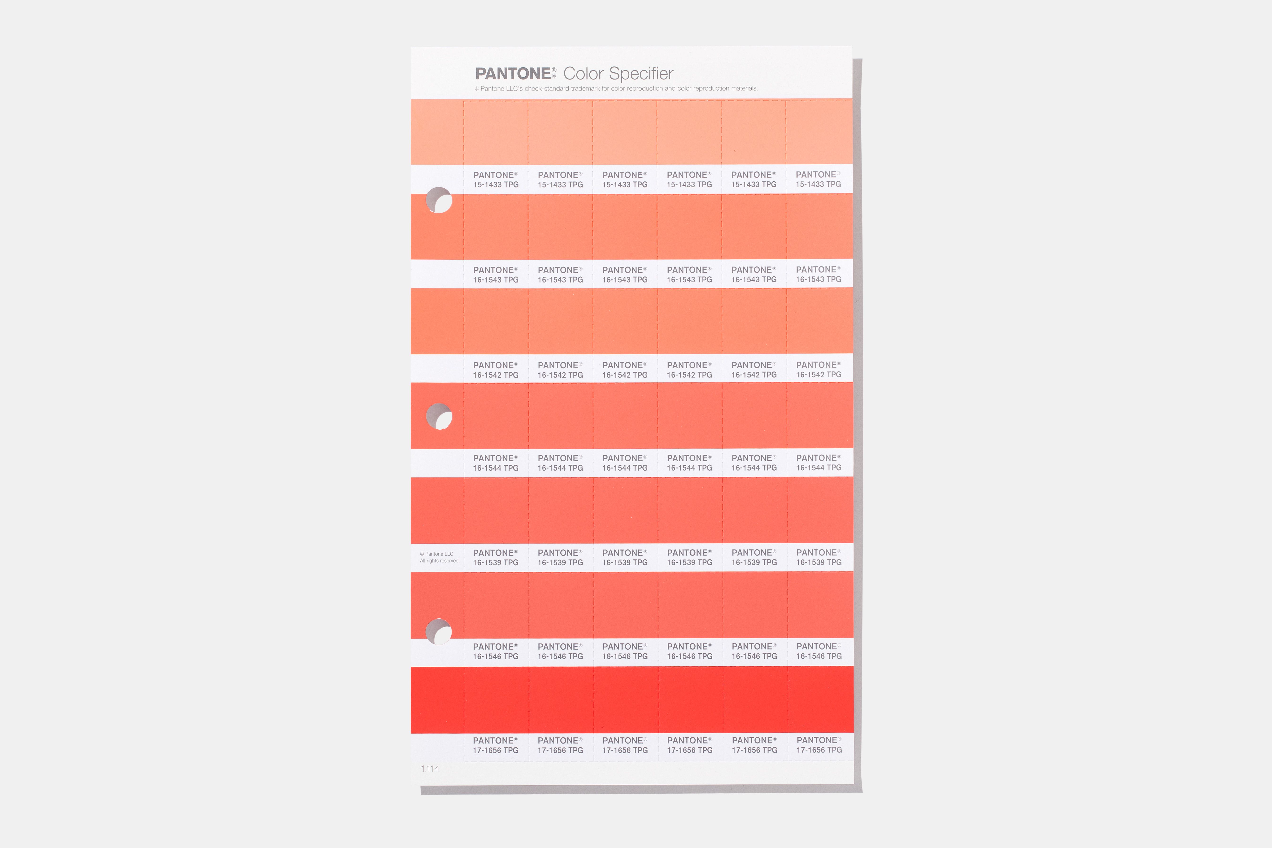 Coral Paint Colour Chart