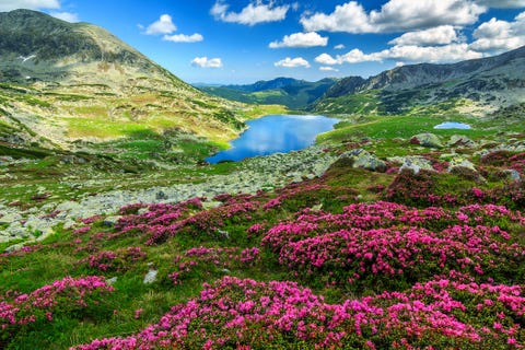 Springe det tvivler jeg på Spis aftensmad The best places for walking holidays in Europe