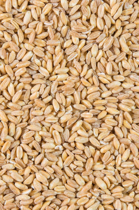 Spelt Spelt